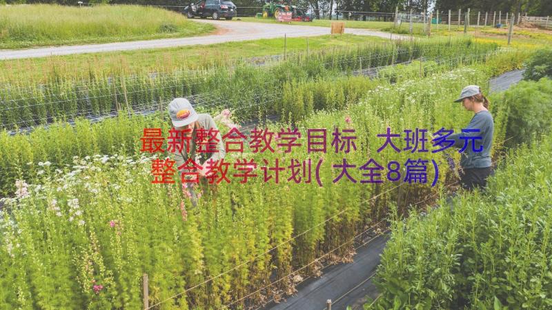 最新整合教学目标 大班多元整合教学计划(大全8篇)