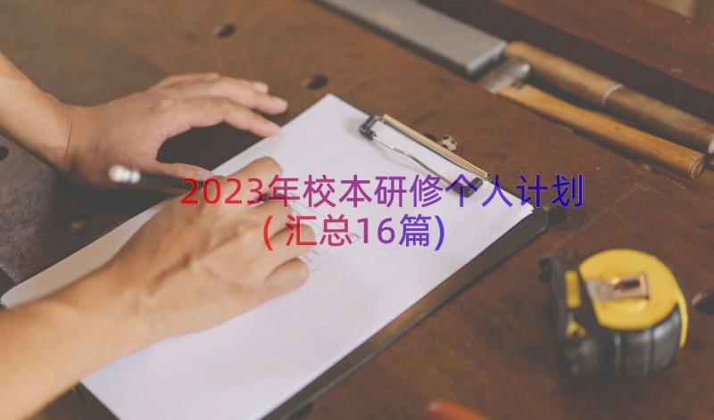 2023年校本研修个人计划(汇总16篇)