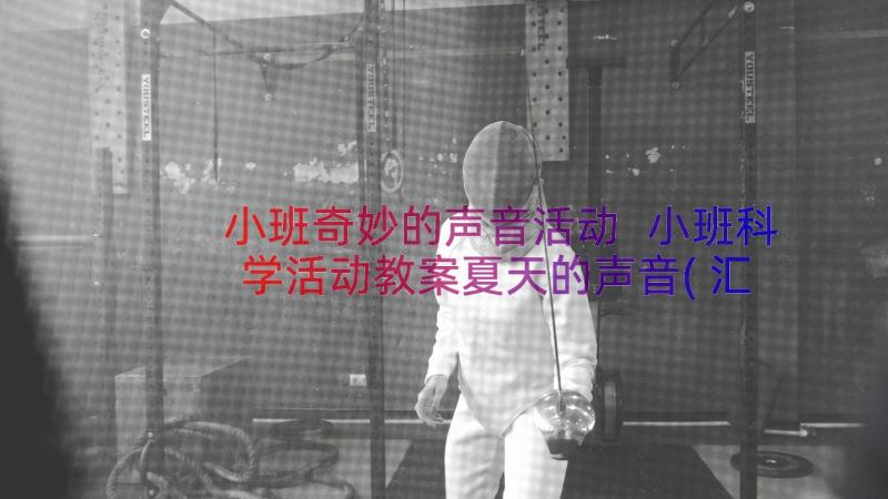 小班奇妙的声音活动 小班科学活动教案夏天的声音(汇总9篇)