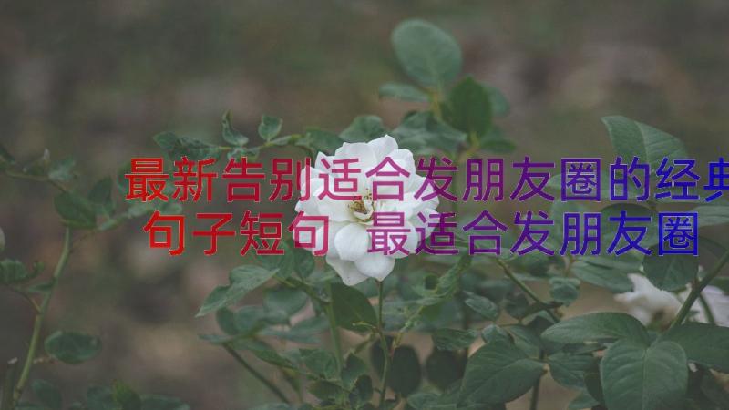 最新告别适合发朋友圈的经典句子短句 最适合发朋友圈的经典句子(汇总15篇)