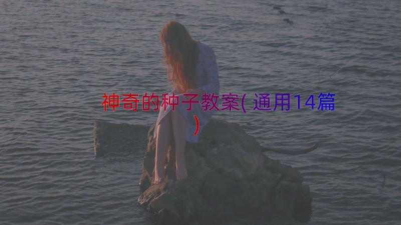 神奇的种子教案(通用14篇)