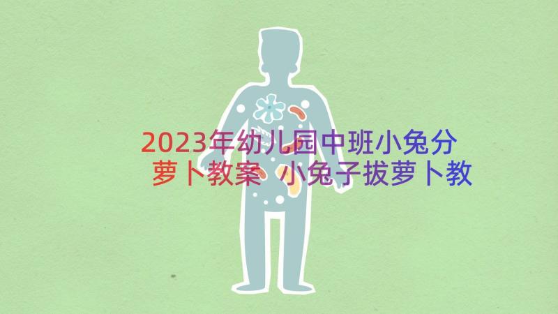 2023年幼儿园中班小兔分萝卜教案 小兔子拔萝卜教案(大全9篇)