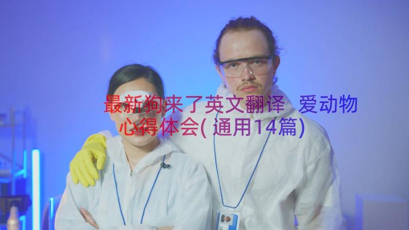 最新狗来了英文翻译 爱动物心得体会(通用14篇)