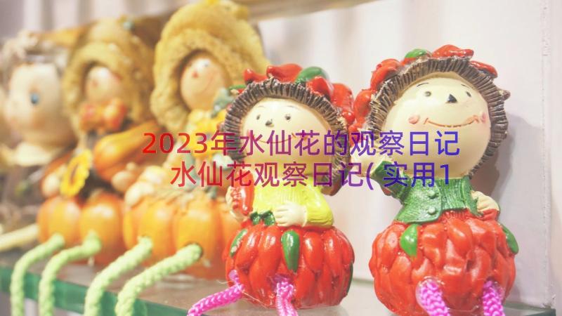 2023年水仙花的观察日记 水仙花观察日记(实用10篇)