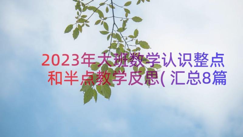 2023年大班数学认识整点和半点教学反思(汇总8篇)