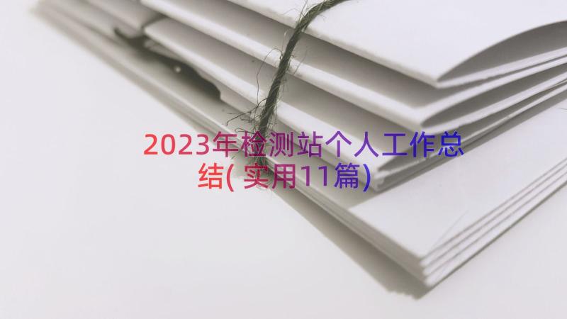 2023年检测站个人工作总结(实用11篇)