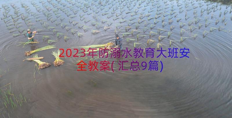 2023年防溺水教育大班安全教案(汇总9篇)