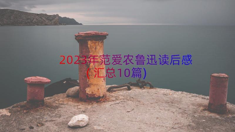 2023年范爱农鲁迅读后感(汇总10篇)