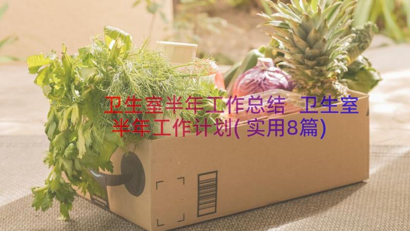 卫生室半年工作总结 卫生室半年工作计划(实用8篇)