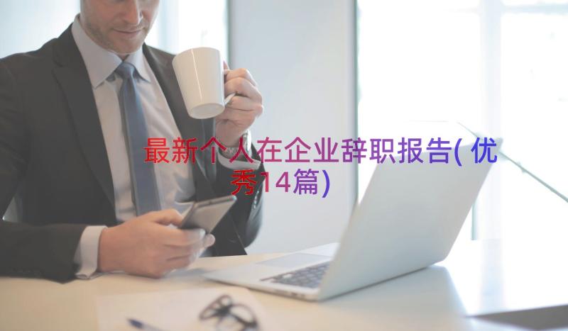 最新个人在企业辞职报告(优秀14篇)