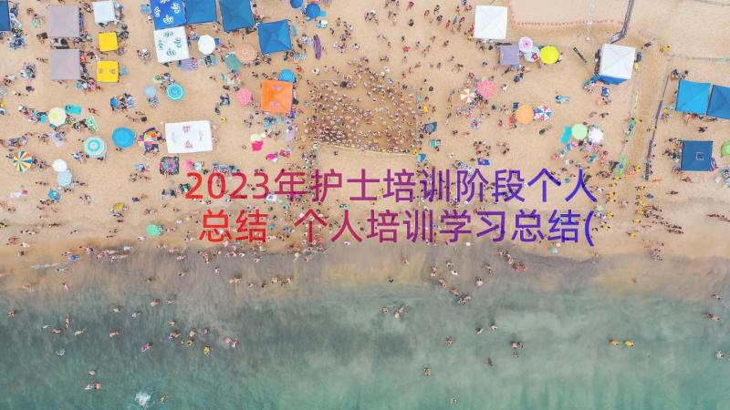 2023年护士培训阶段个人总结 个人培训学习总结(大全10篇)