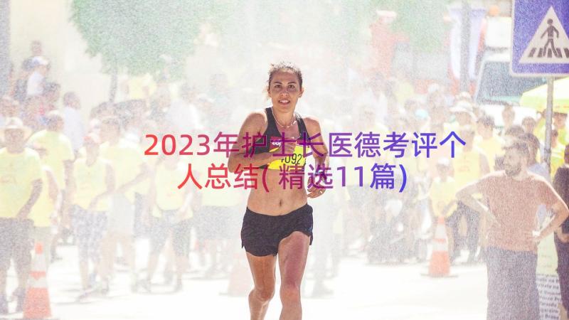 2023年护士长医德考评个人总结(精选11篇)