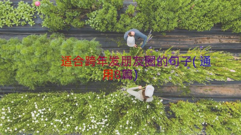 适合跨年发朋友圈的句子(通用8篇)