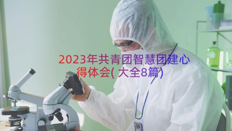 2023年共青团智慧团建心得体会(大全8篇)
