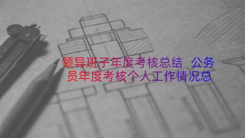 领导班子年度考核总结 公务员年度考核个人工作情况总结(优秀8篇)