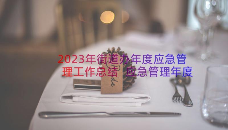 2023年街道办年度应急管理工作总结 应急管理年度工作总结与计划(精选8篇)