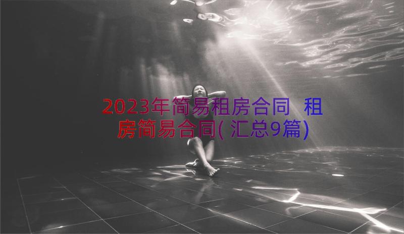 2023年简易租房合同 租房简易合同(汇总9篇)