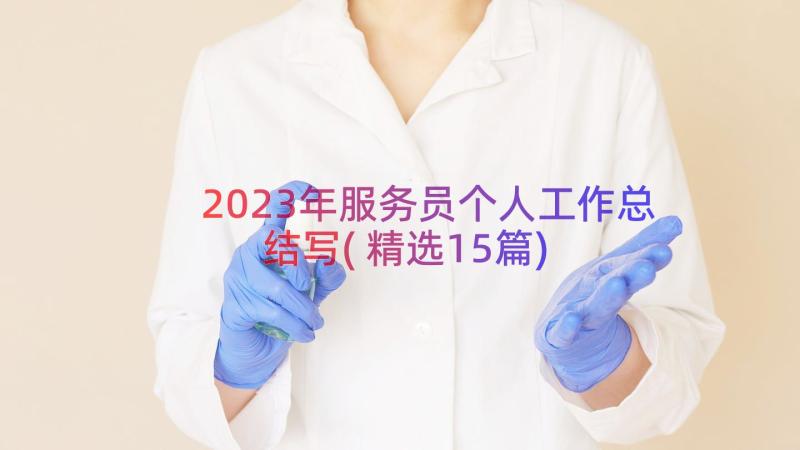 2023年服务员个人工作总结写(精选15篇)