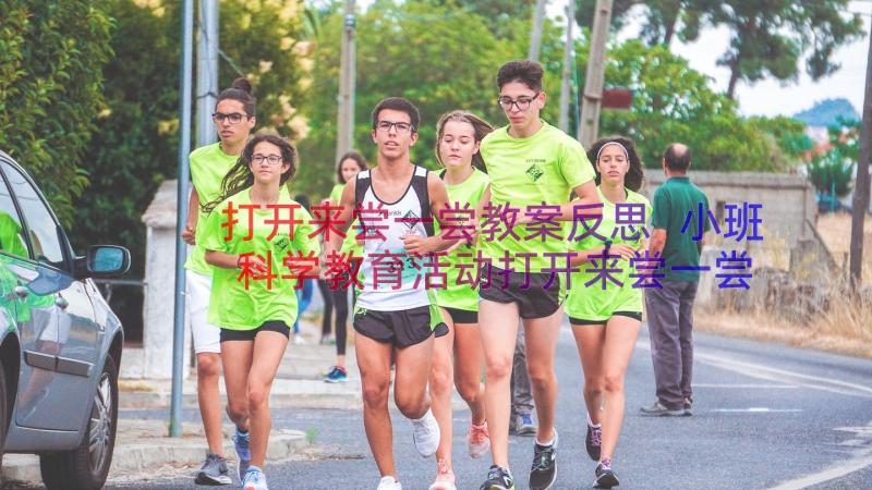 打开来尝一尝教案反思 小班科学教育活动打开来尝一尝教案(模板8篇)