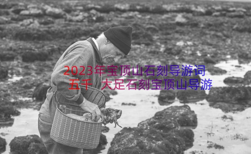 2023年宝顶山石刻导游词五千 大足石刻宝顶山导游词(大全8篇)