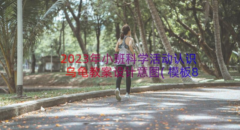 2023年小班科学活动认识乌龟教案设计意图(模板8篇)