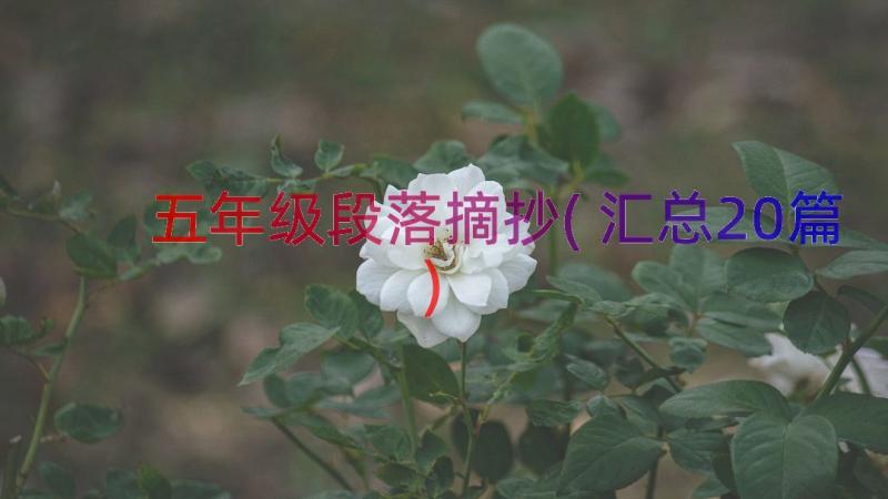 五年级段落摘抄(汇总20篇)