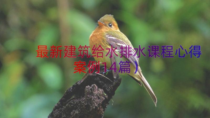 最新建筑给水排水课程心得（案例14篇）