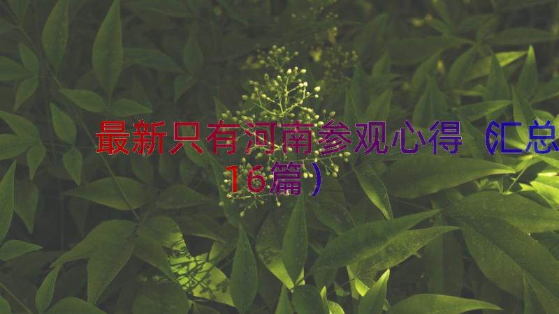 最新只有河南参观心得（汇总16篇）