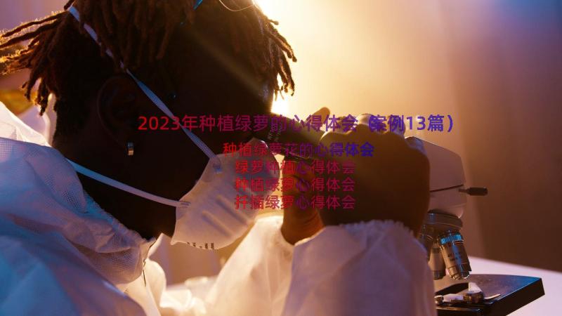 2023年种植绿萝的心得体会（案例13篇）