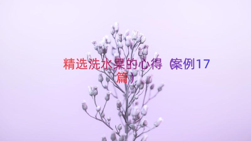 精选洗水果的心得（案例17篇）