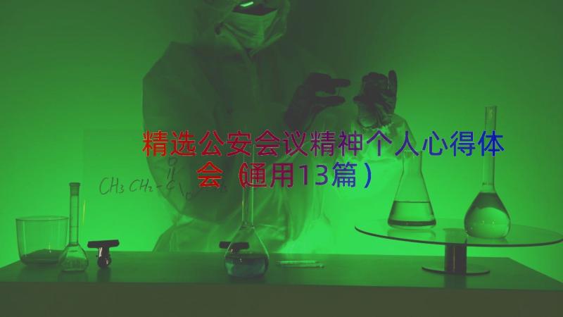 精选公安会议精神个人心得体会（通用13篇）