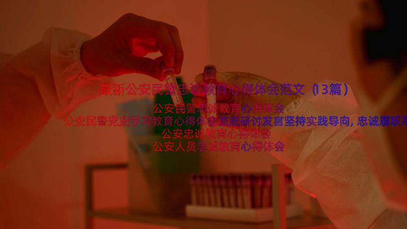 最新公安民警忠诚教育心得体会范文（13篇）