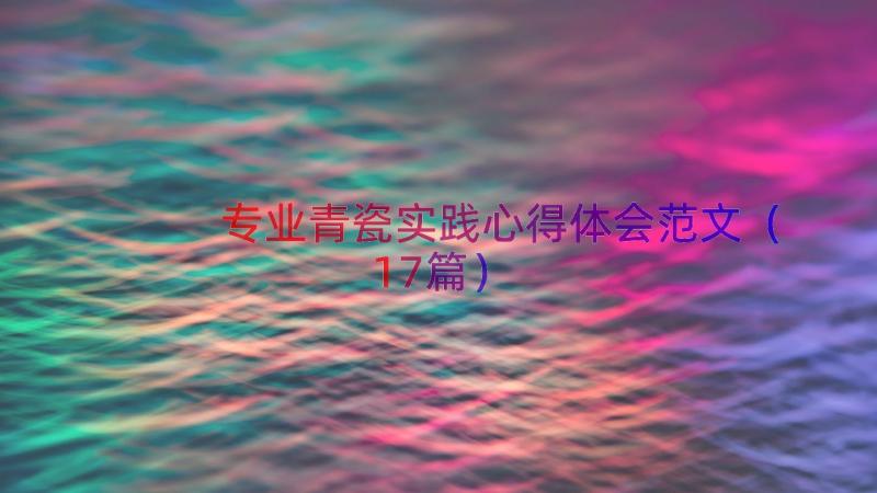 专业青瓷实践心得体会范文（17篇）