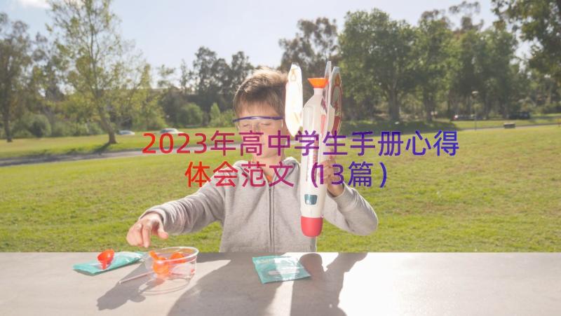 2023年高中学生手册心得体会范文（13篇）