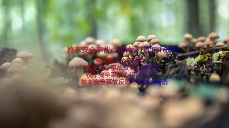 校车安全事故心得体会（实用16篇）