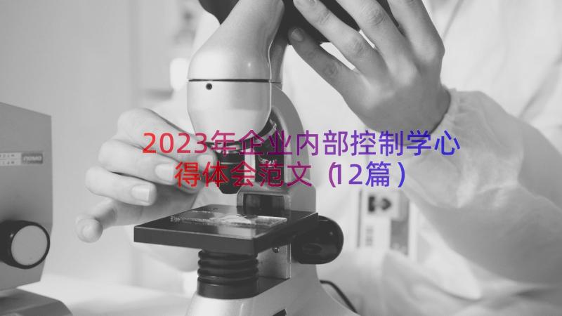 2023年企业内部控制学心得体会范文（12篇）