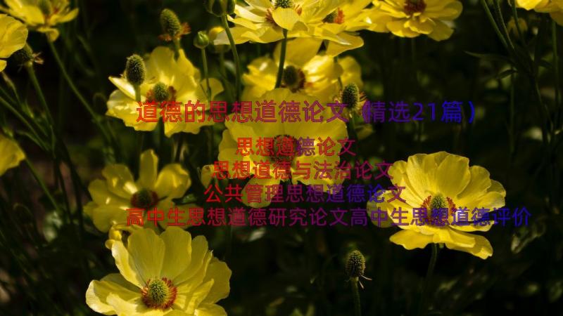 道德的思想道德论文（精选21篇）