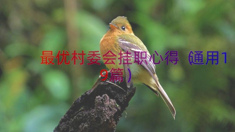 最优村委会挂职心得（通用19篇）