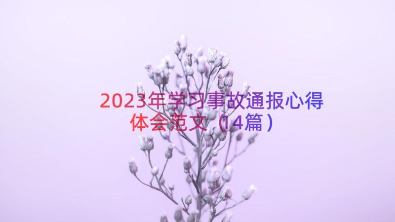 2023年学习事故通报心得体会范文（14篇）