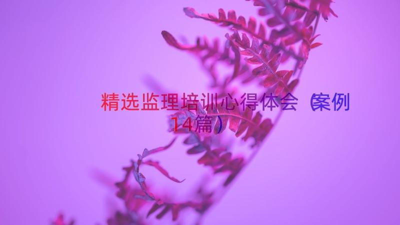 精选监理培训心得体会（案例14篇）