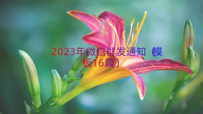 2023年微信群发通知（模板16篇）