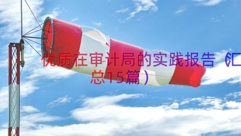 优质在审计局的实践报告（汇总15篇）