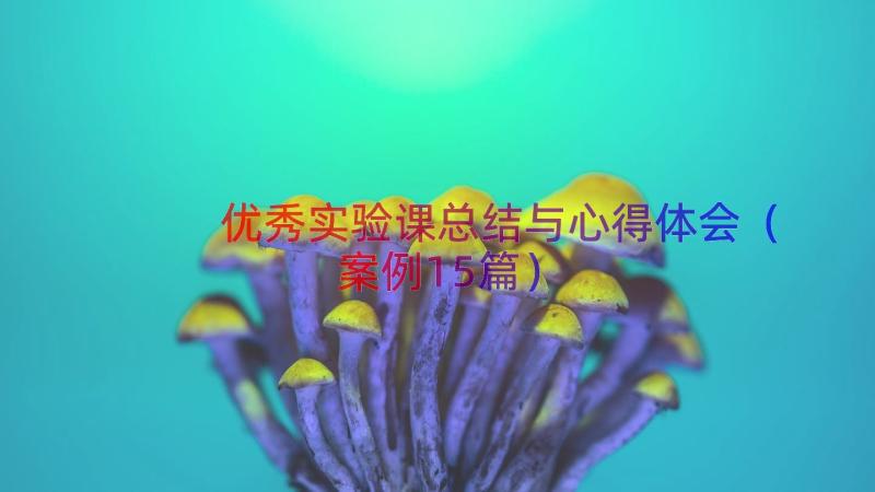 优秀实验课总结与心得体会（案例15篇）