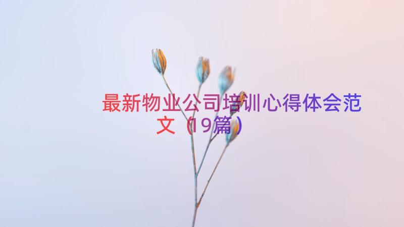 最新物业公司培训心得体会范文（19篇）