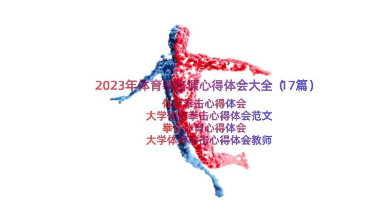 2023年体育拳击课心得体会大全（17篇）