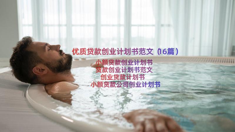 优质贷款创业计划书范文（16篇）