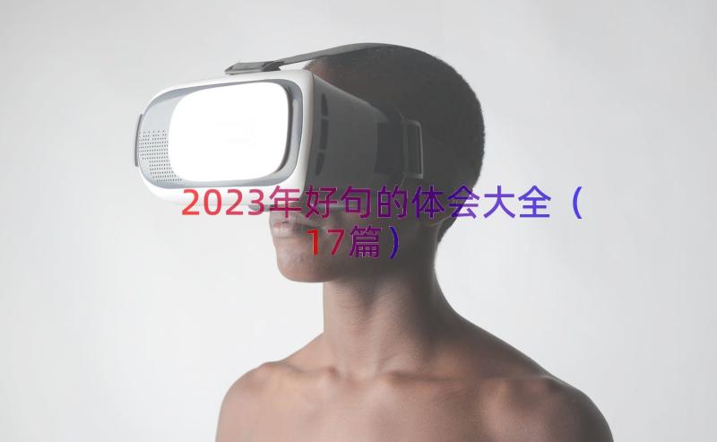 2023年好句的体会大全（17篇）