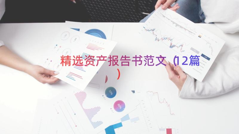 精选资产报告书范文（12篇）