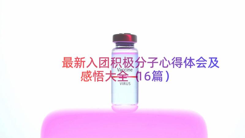 最新入团积极分子心得体会及感悟大全（16篇）