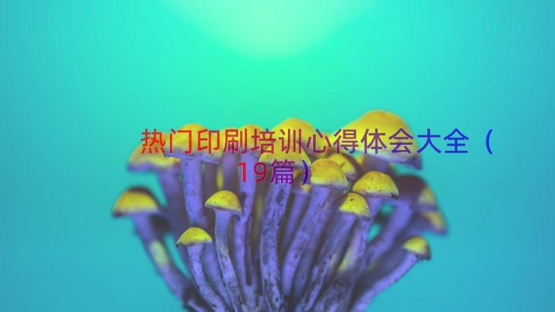 热门印刷培训心得体会大全（19篇）